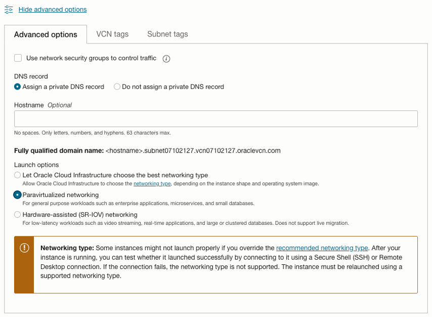 Figure: Instance Advanced Options